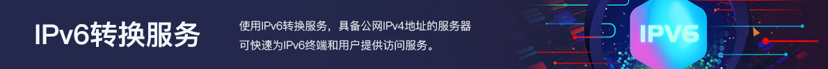 IPv6轉(zhuǎn)換服務(wù)